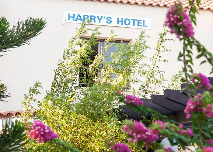 Harry's Hotel Protaras