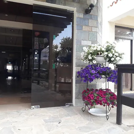 Harry's بروتاراس