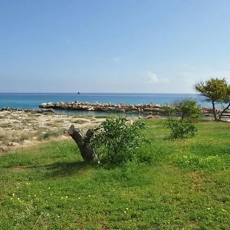 فندق Harry's بروتاراس